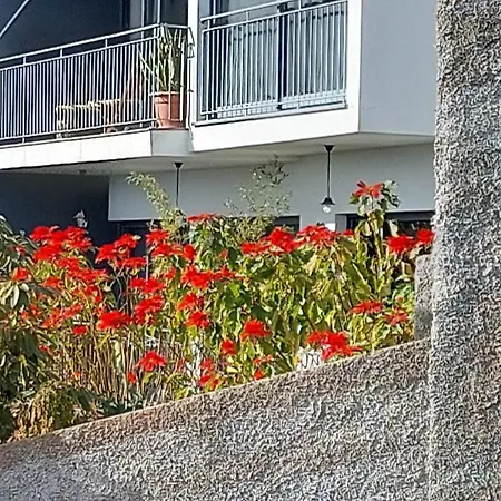 Casa Henriques Holiday home *